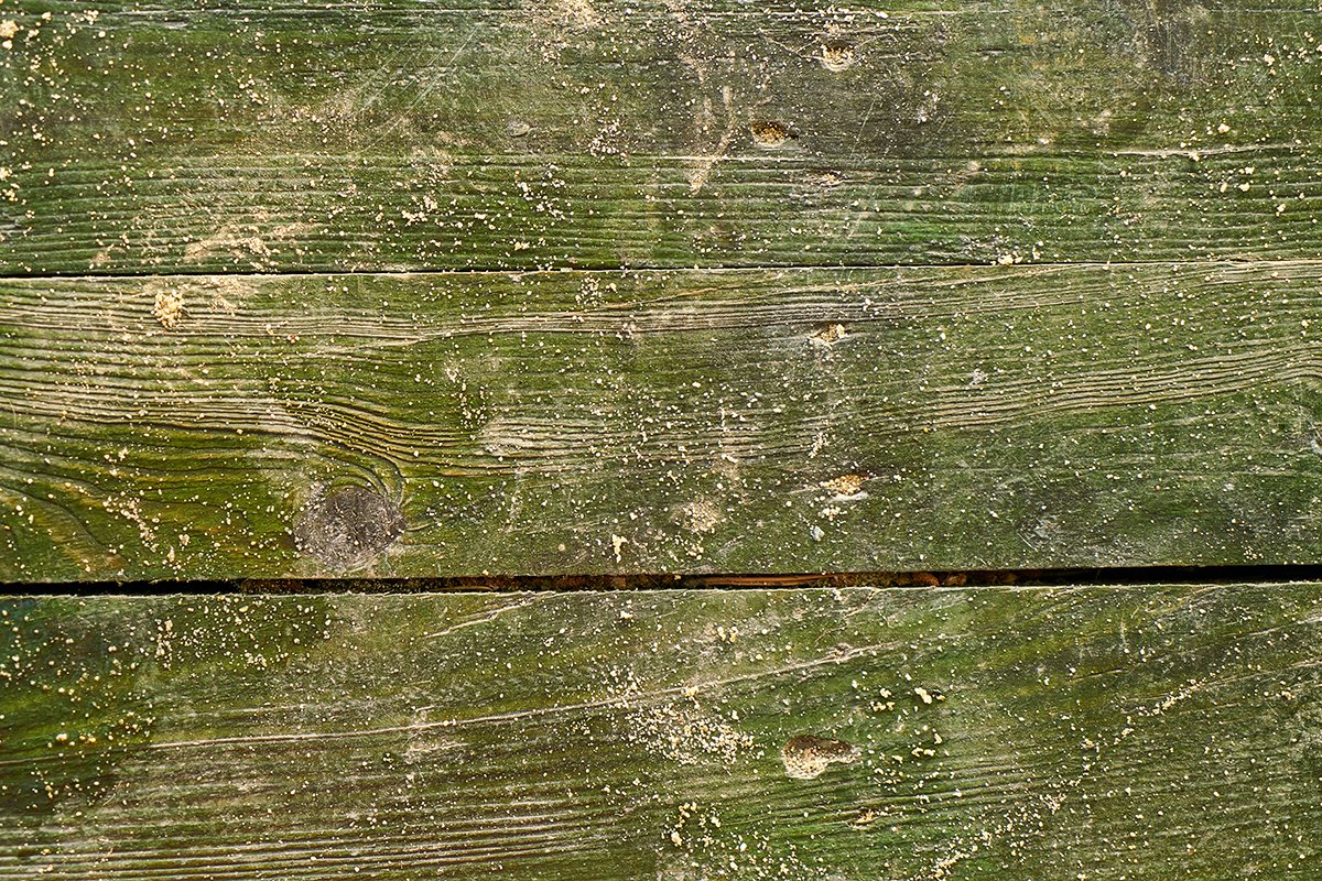 Houtshop's tweet photo. Topweer voor het onderhoud van je tuinhout! 

Onze blog staat boordevol tips om je onderhoud efficiënt aan te pakken én tijdens onze Tuindagen geniet je bovendien van korting op tuinhout en onderhoud!

Check dit blog item: https://t.co/yLi8yKyhrn https://t.co/j3VYrGKh8A