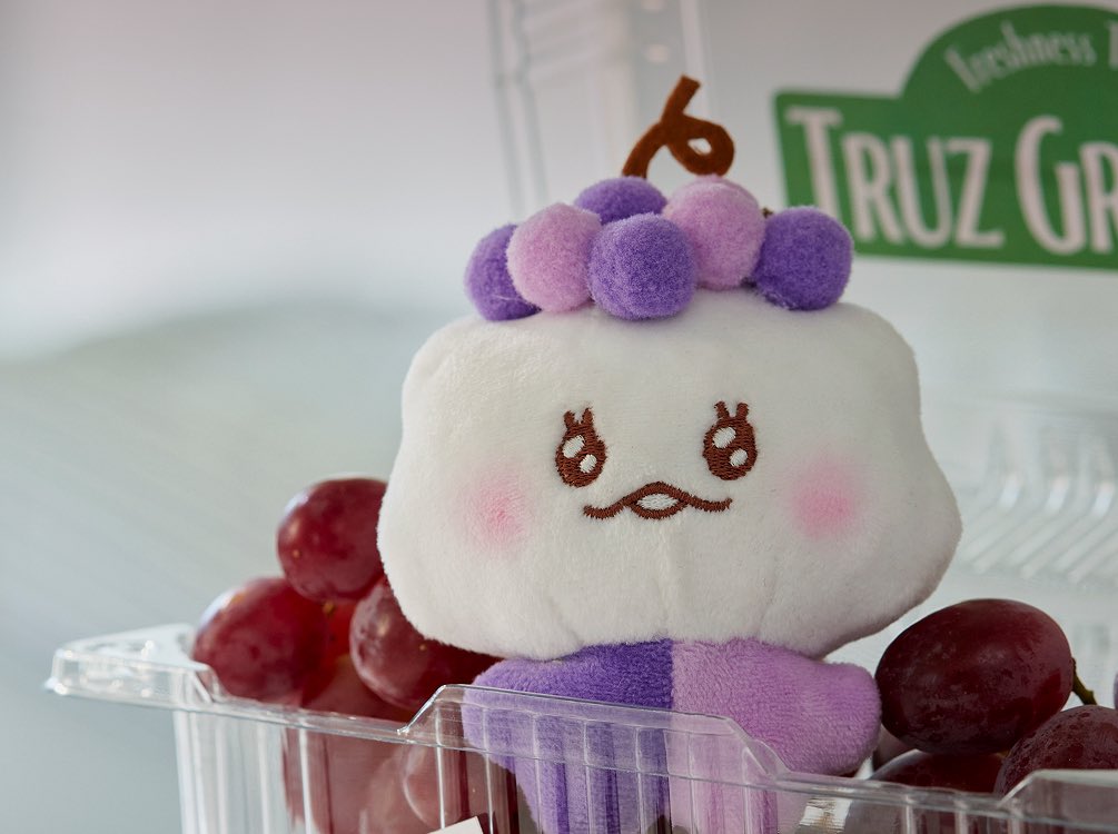 샛별이 tweet media