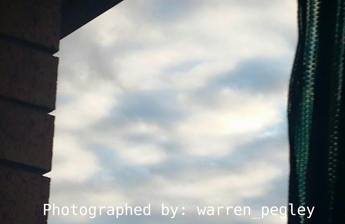 Warren Pegley tweet media