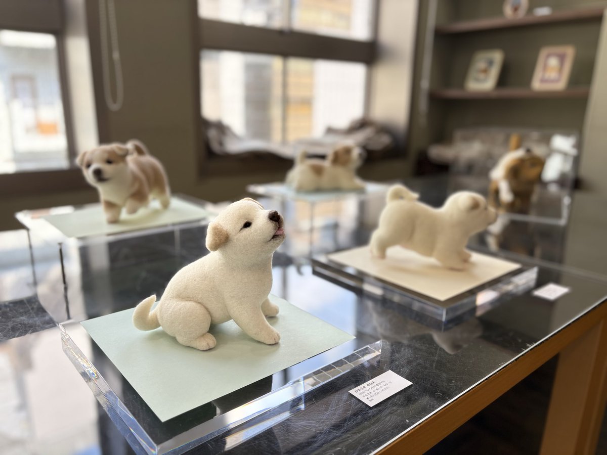 かわさきみなみ tweet media