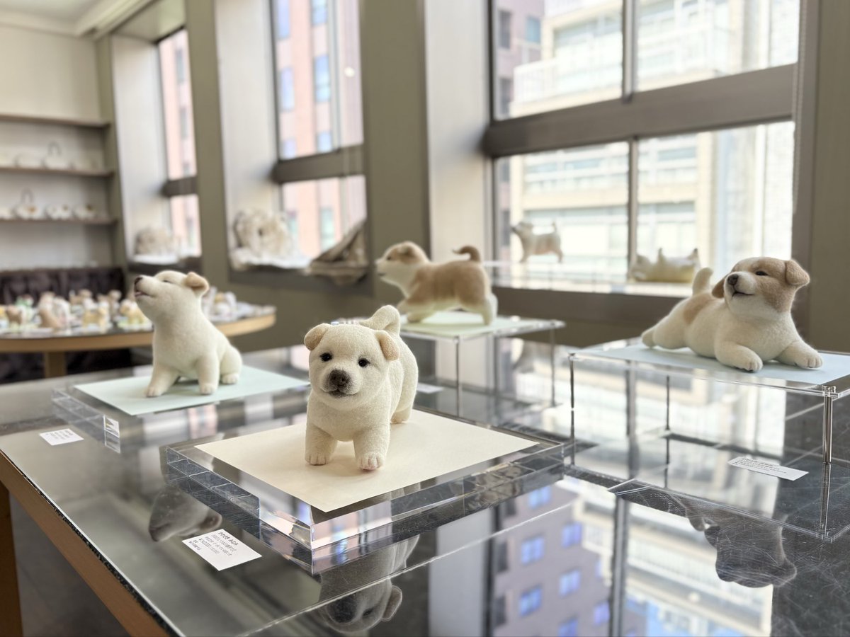 かわさきみなみ tweet media