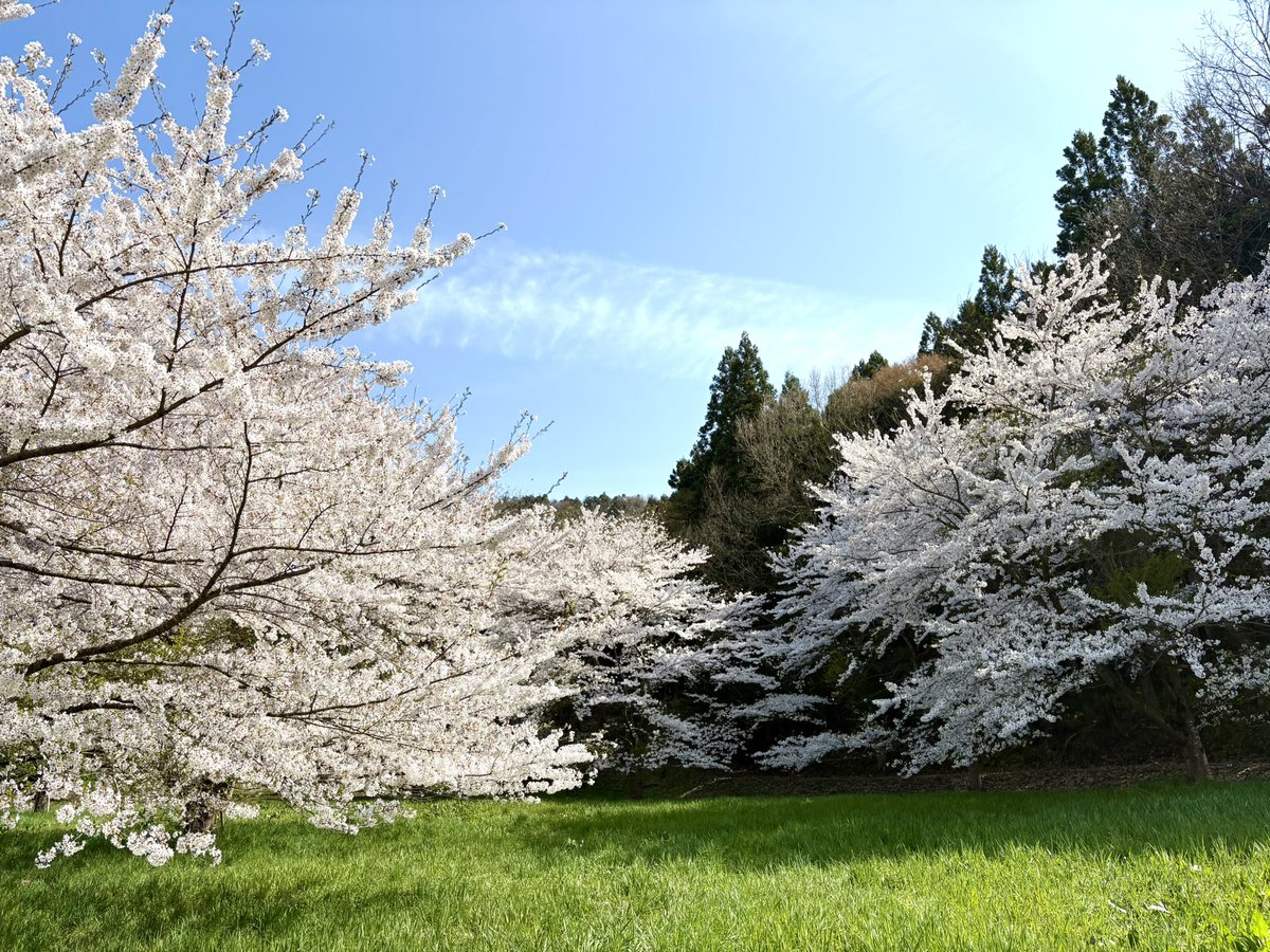 !p北海道産 tweet media