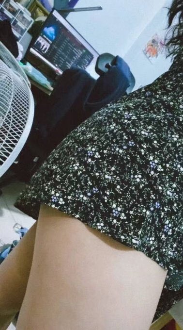 东北投稿 tweet media