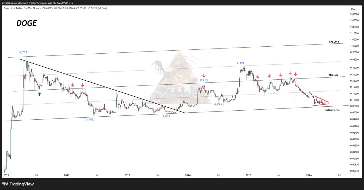 Cryptollica⚡️ tweet media