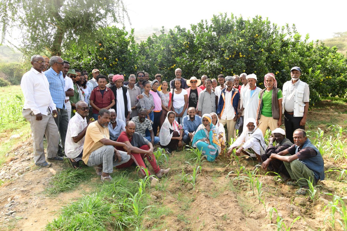 UNDP Eritrea tweet media