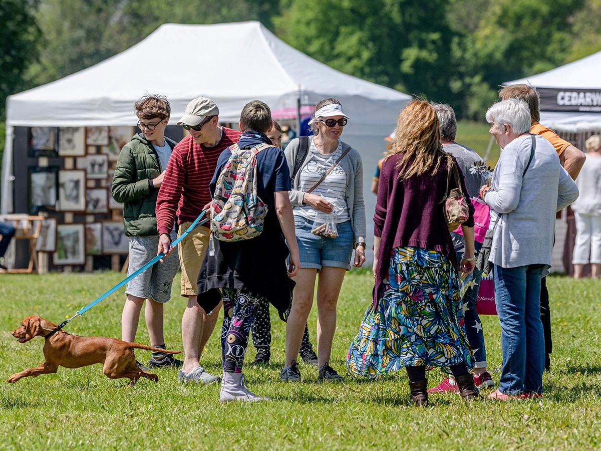 Galloway Coaches tweet media