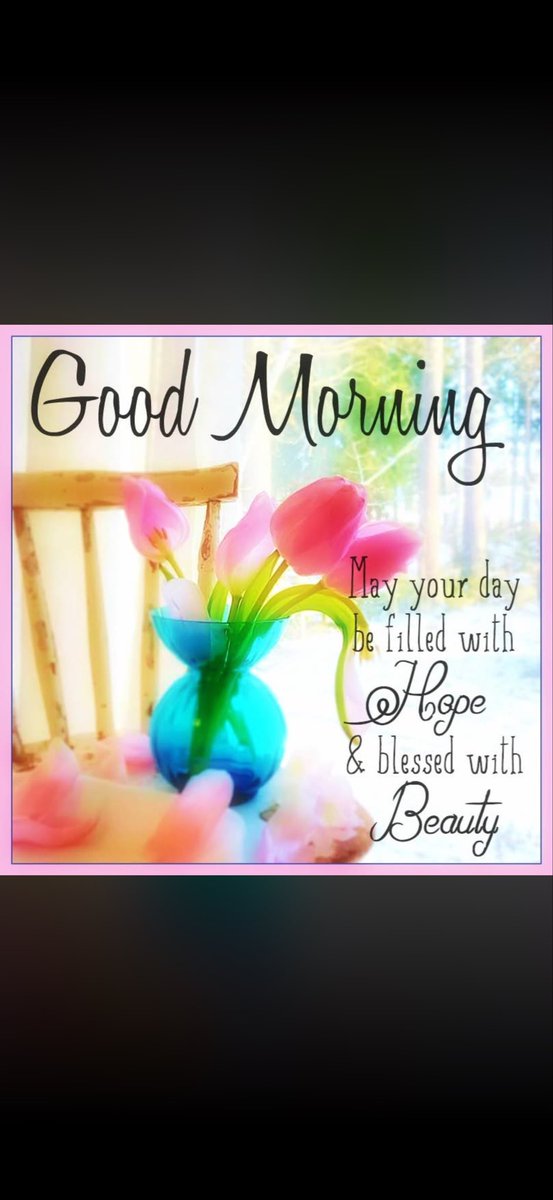 Primrose tweet media