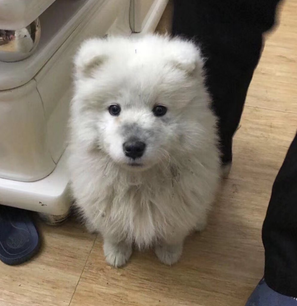 skytho_44's tweet image. เก่ามาก อยากเอาไปซัก 😔 

ꕤ꒰ #keenkeno | #CLO_VER 🍀 ꒱ꕤ 
#CLOSERtoCLO_VER_EP1