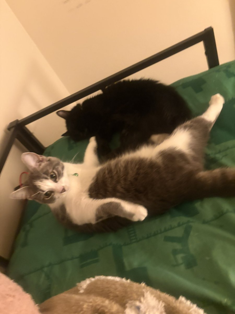 Andrew 🐁 tweet media