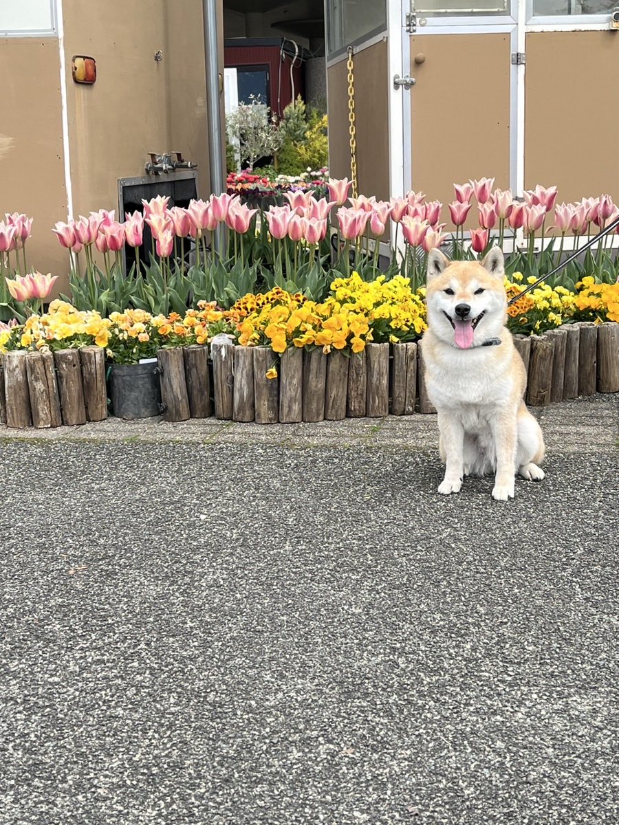 ニッコニコしちゃうよね。