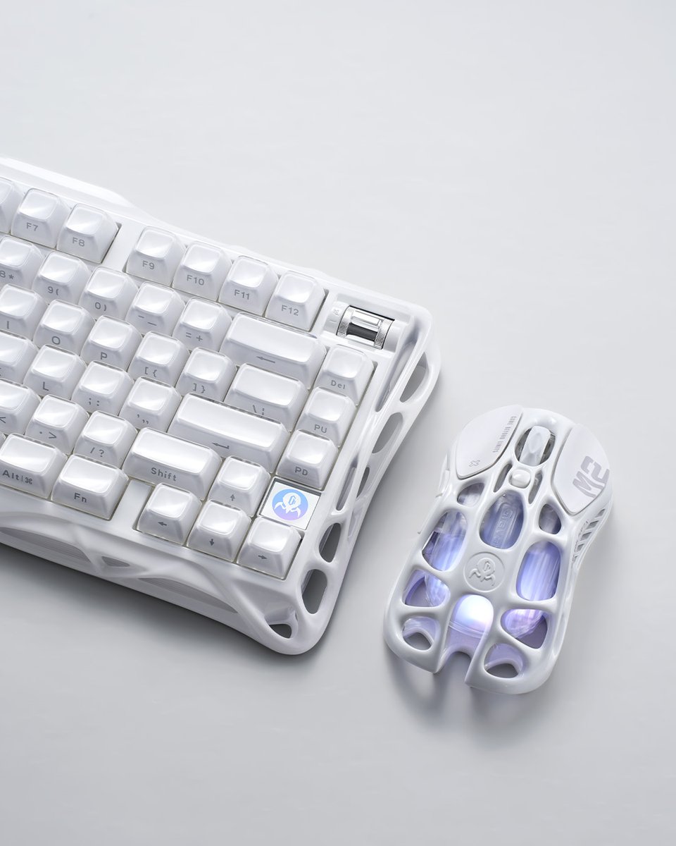 GravaStar【日本公式】 tweet media