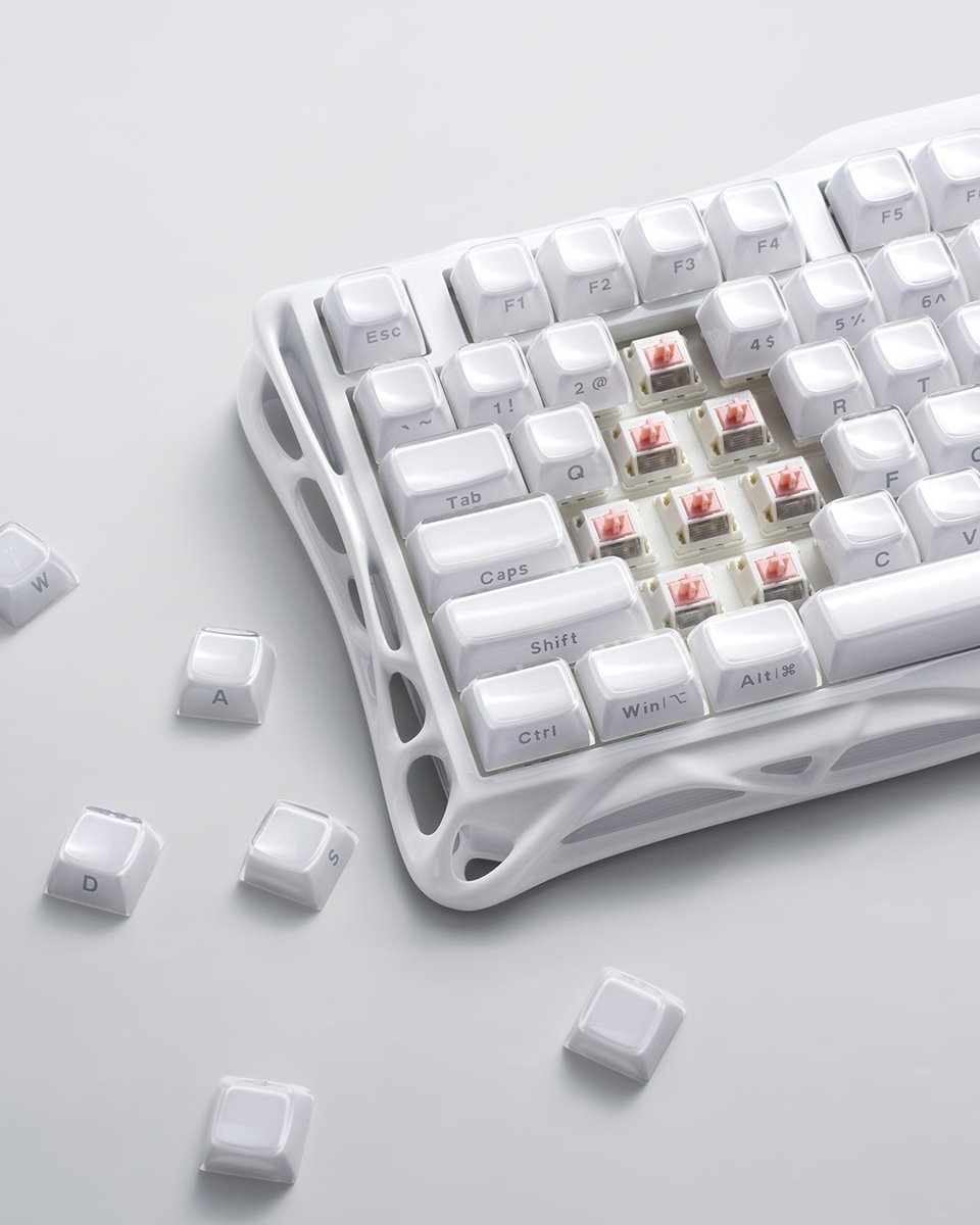 GravaStar【日本公式】 tweet media