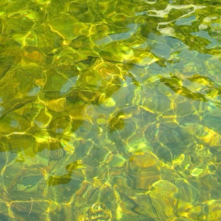 cam 🐸 (-1/30kg) tweet media