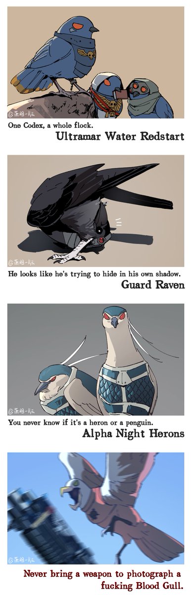 xiaoxiang_cloud's tweet photo. Chatted with
@17748491wer about the silly daily life in the Space Marine birdwatching zone, so I drew this.
P2 is her art! (Blood Gulls: Go score some relics)
Last one: an Alpha Night Heron trying to blend in with the Ultramar Water Redstart flock.
#warhammer40k #warhammer40koc https://t.co/dWUoijHYnW