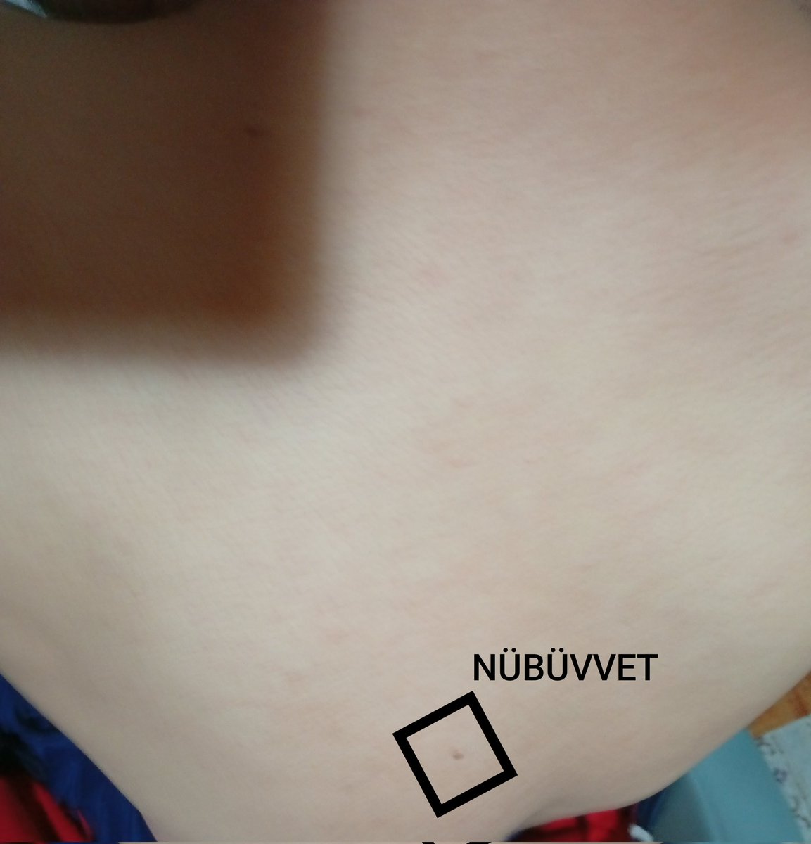 Musa Alkan tweet media