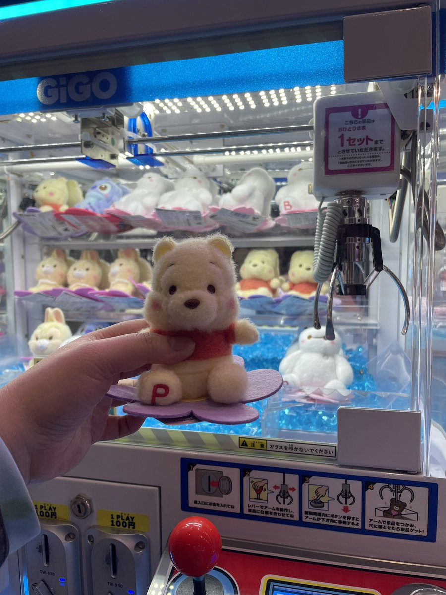 叩鸥栗-こおり tweet media