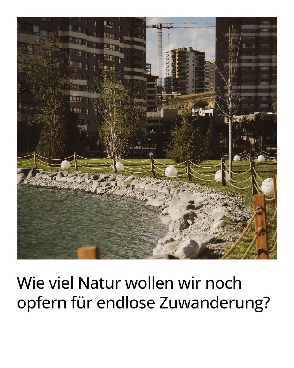 Anian Liebrand tweet media