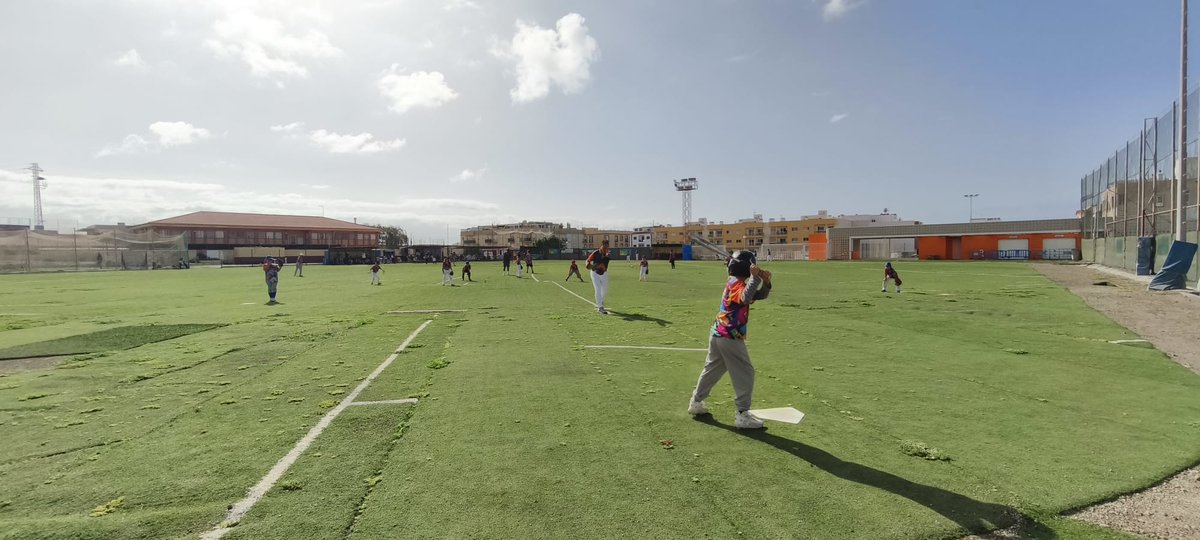 Federación Canaria Béisbol y Sofbol tweet media