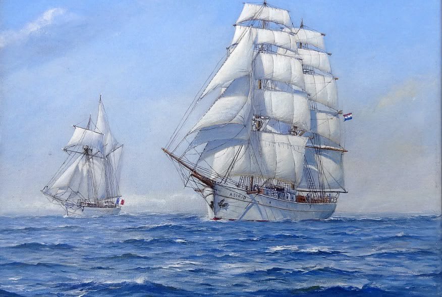 helen warlow tweet media