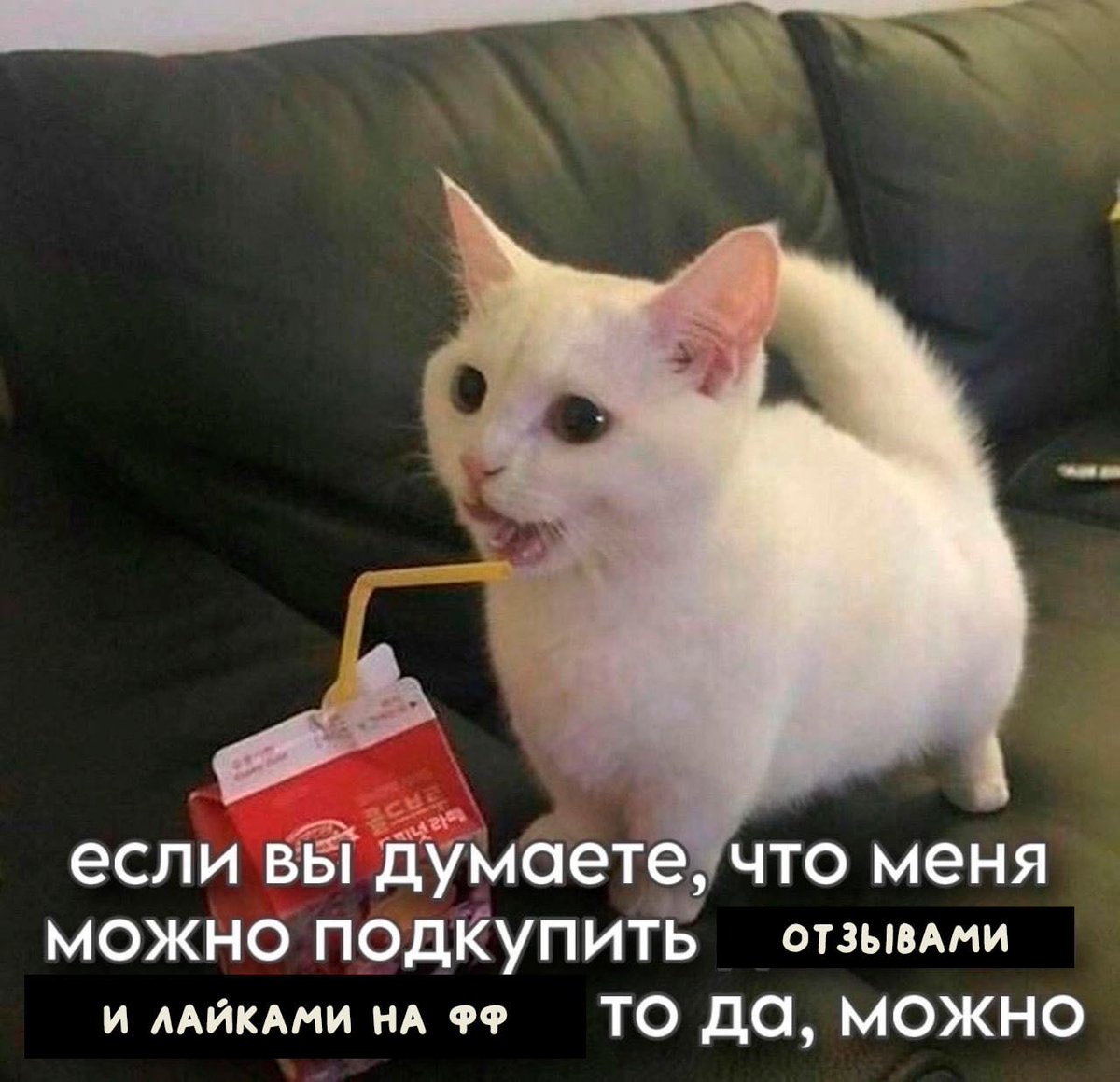 Пилот Ру tweet media