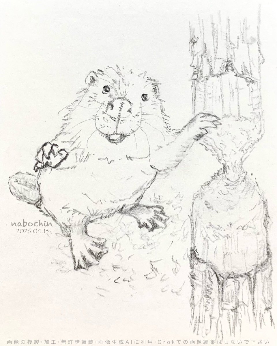 なぼちん tweet media