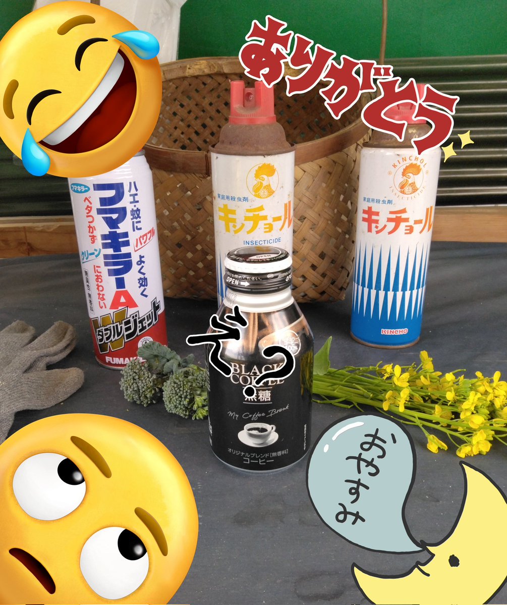 ギャオス tweet media