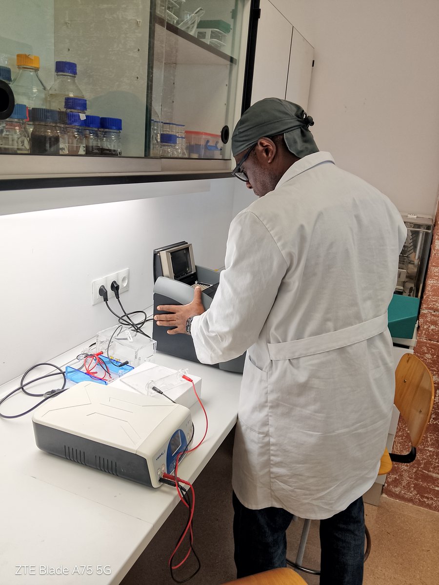 mitlab_sl's tweet photo. ¿Te interesa la microbiología?

A partir de mayo comienzan las prácticas presenciales de nuestros postgrados en Microbiología Industrial y Alimentaria.

🚨 Plazas limitadas
📅 Inscripciones abiertas hasta finales de abril

📩 https://t.co/4x6vqa7equ https://t.co/KF4licpQGT