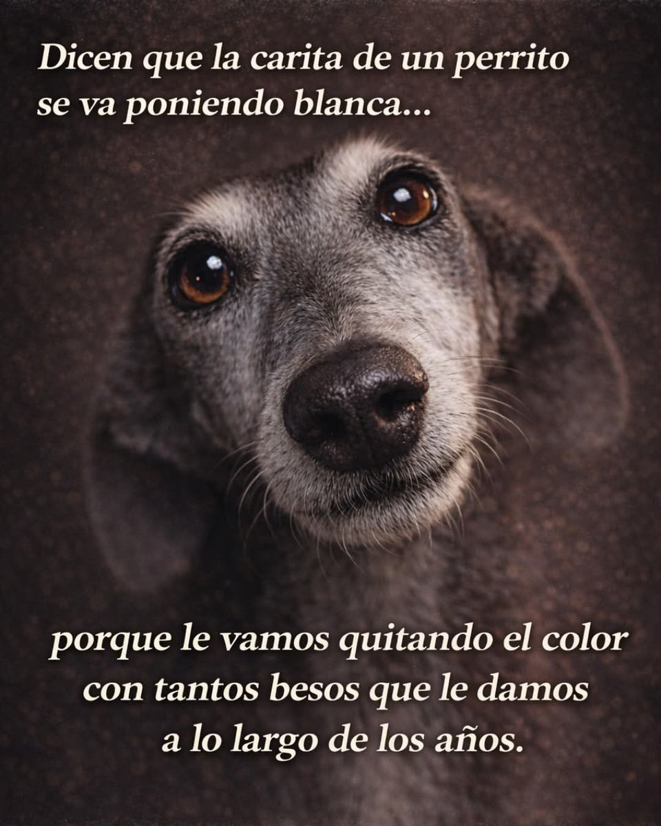 Leticia bravo Aldecoa 🧠 & ♥ tweet media