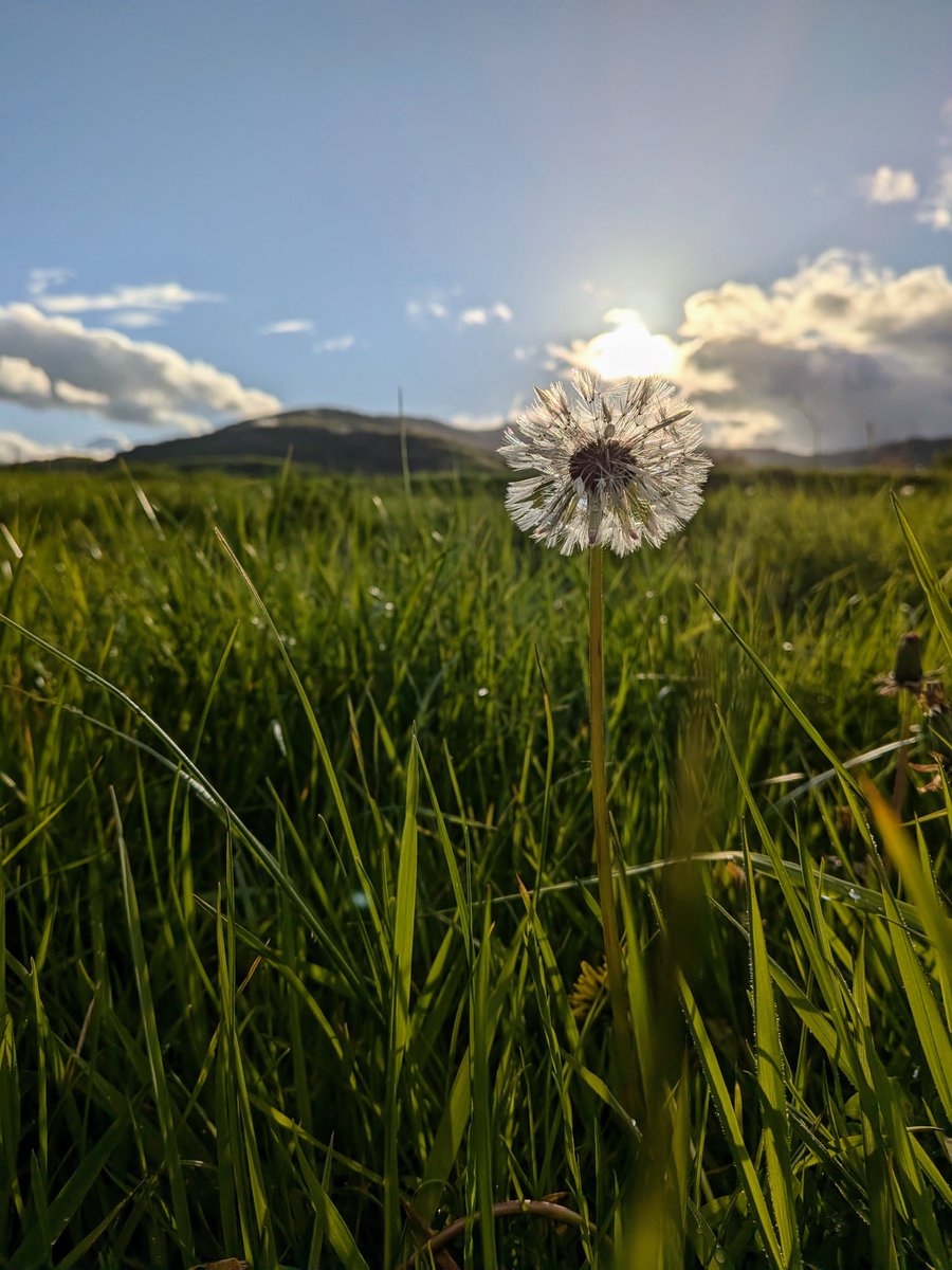 blanquielg's tweet photo. #FelizMartes Primavera en #Alsasua #Navarra #España https://t.co/dsQSvi56We