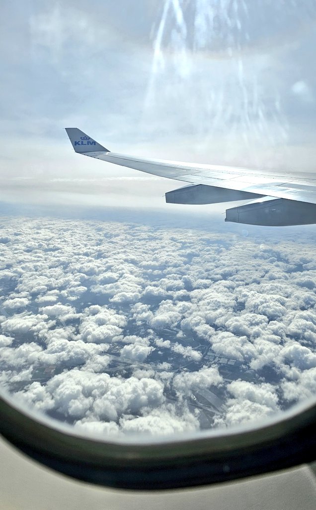 Gilbert 🩺 🇺🇸 ❤️ tweet media