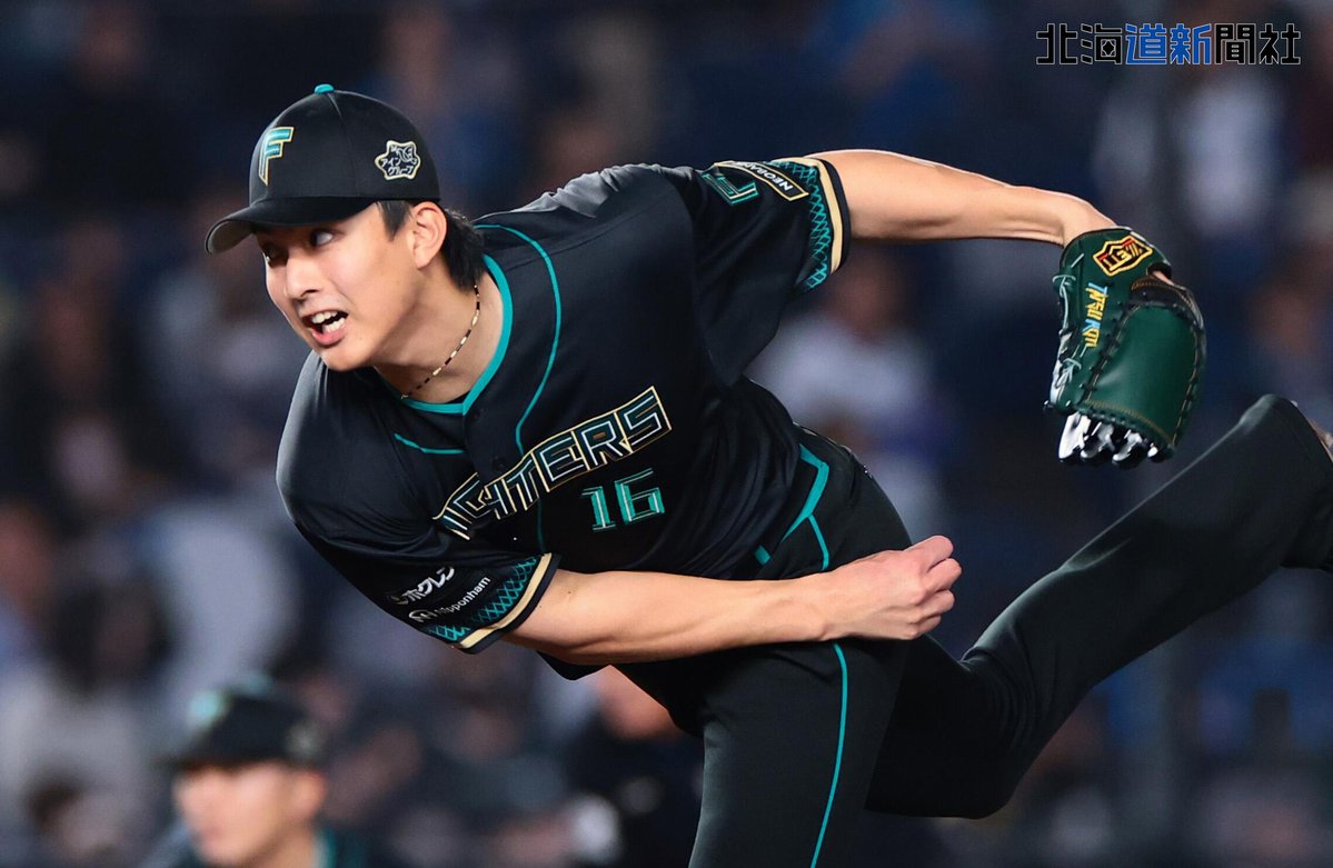 北海道新聞写真映像部 tweet media