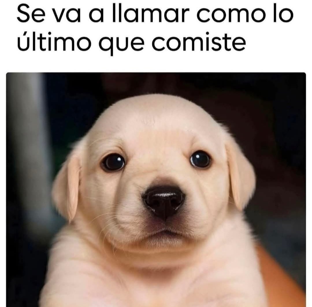 SolidKroket's tweet image. 