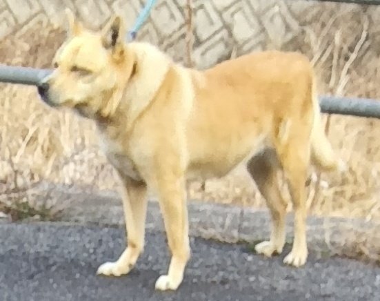 越智ブリ中（江戸研究家） tweet media