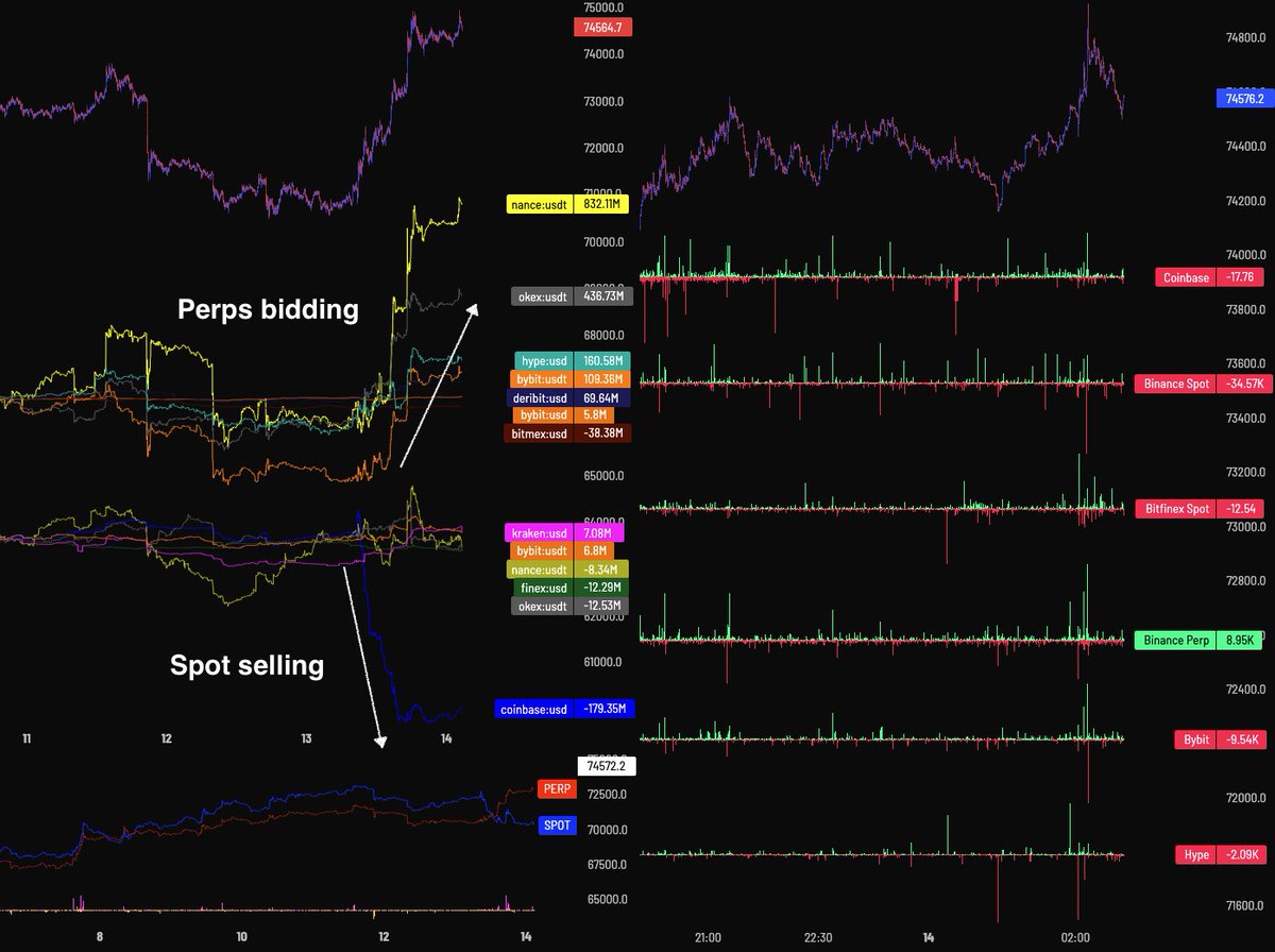 Golden Pocket tweet media