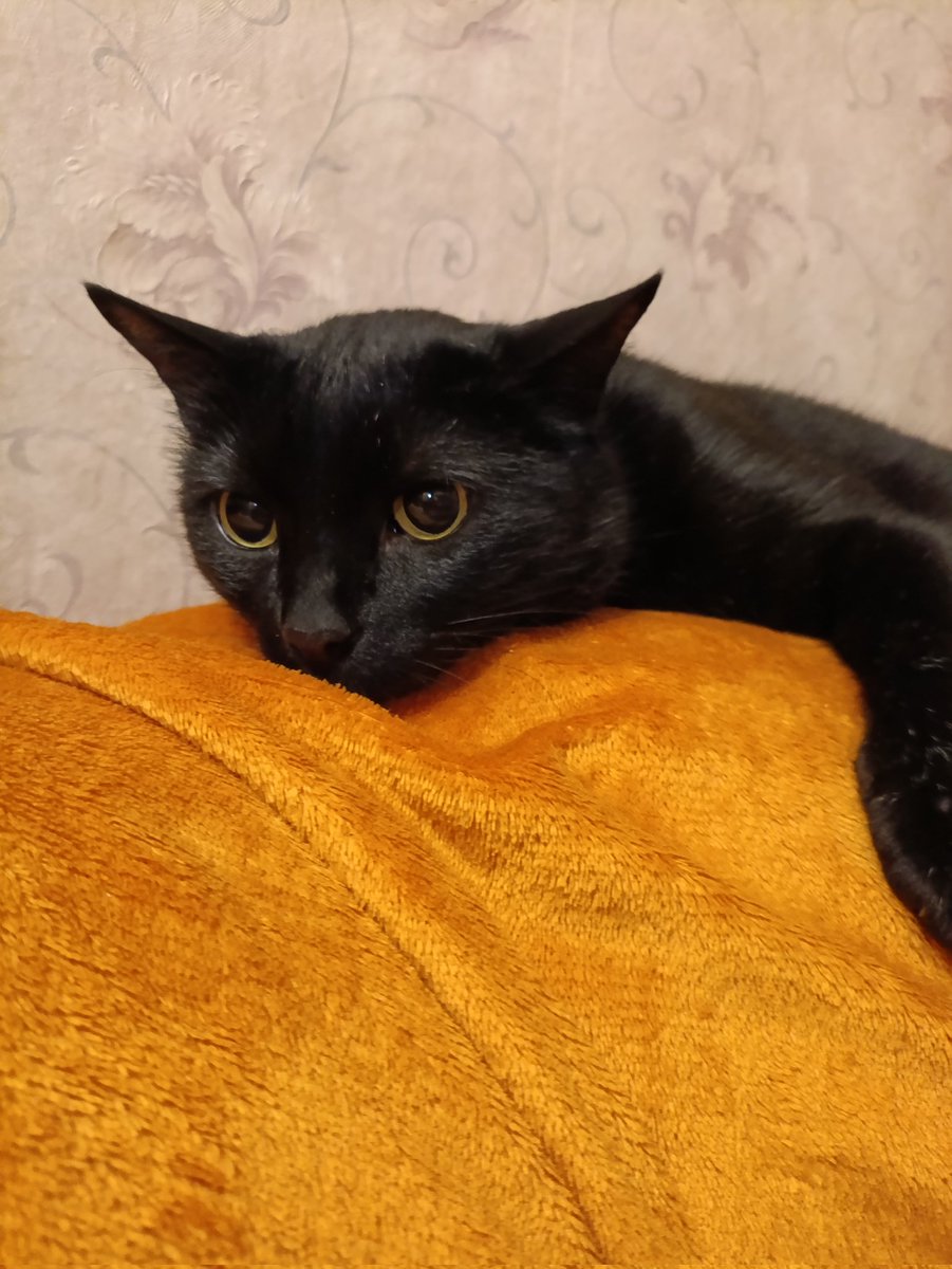 Эсти. Мать дракона tweet media