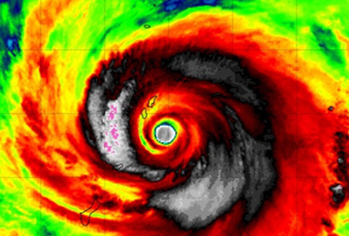 Josh Morgerman tweet media