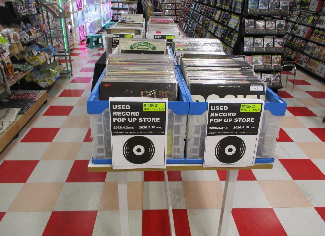 BAYSONIC tweet media