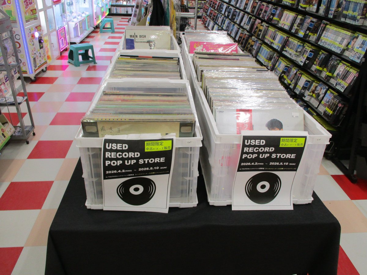 BAYSONIC tweet media