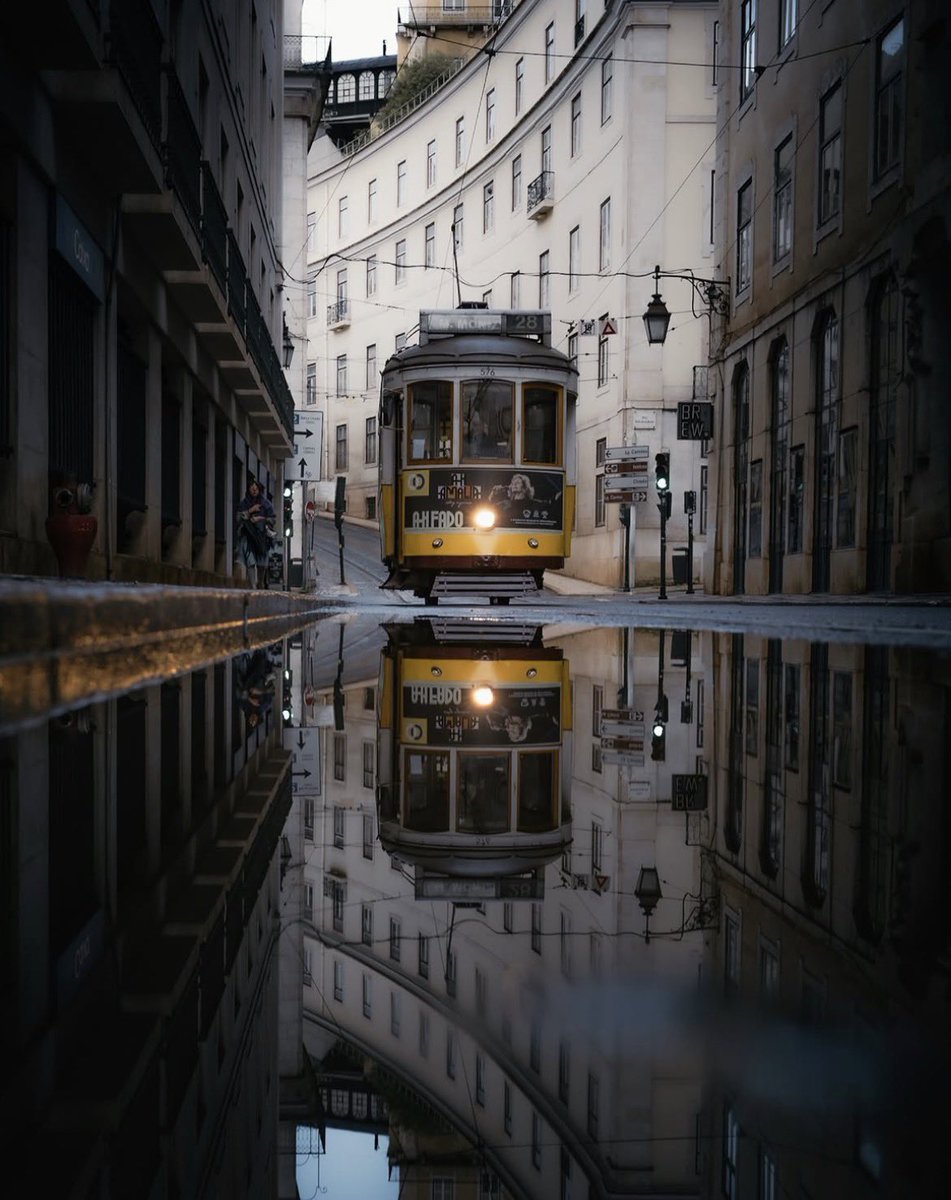 theglobalphotocommunity tweet media