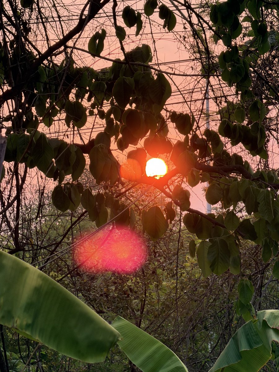 うちはマダラ SKK tweet media