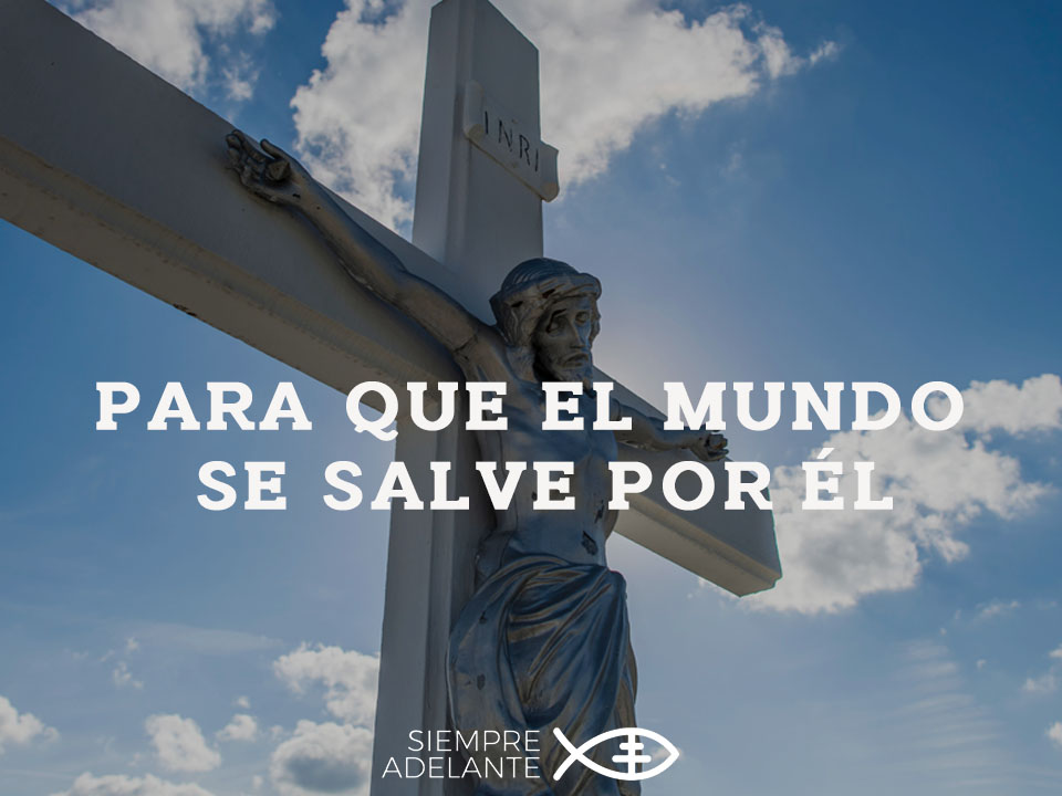 Archidiócesis de Sevilla tweet media