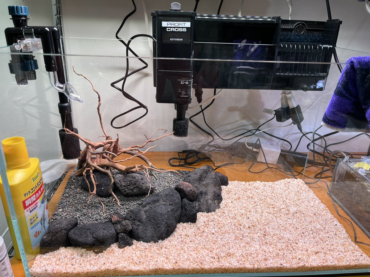 ぎょまん tweet media