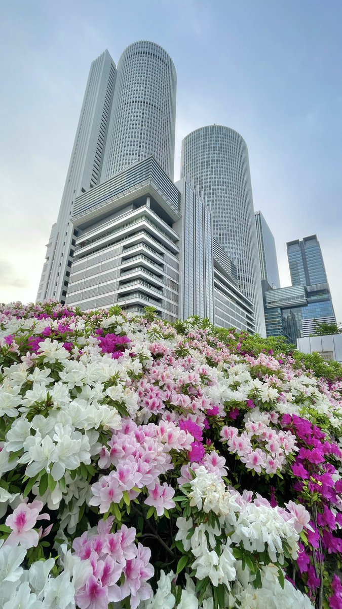 おいでよ名古屋@おいなご tweet media