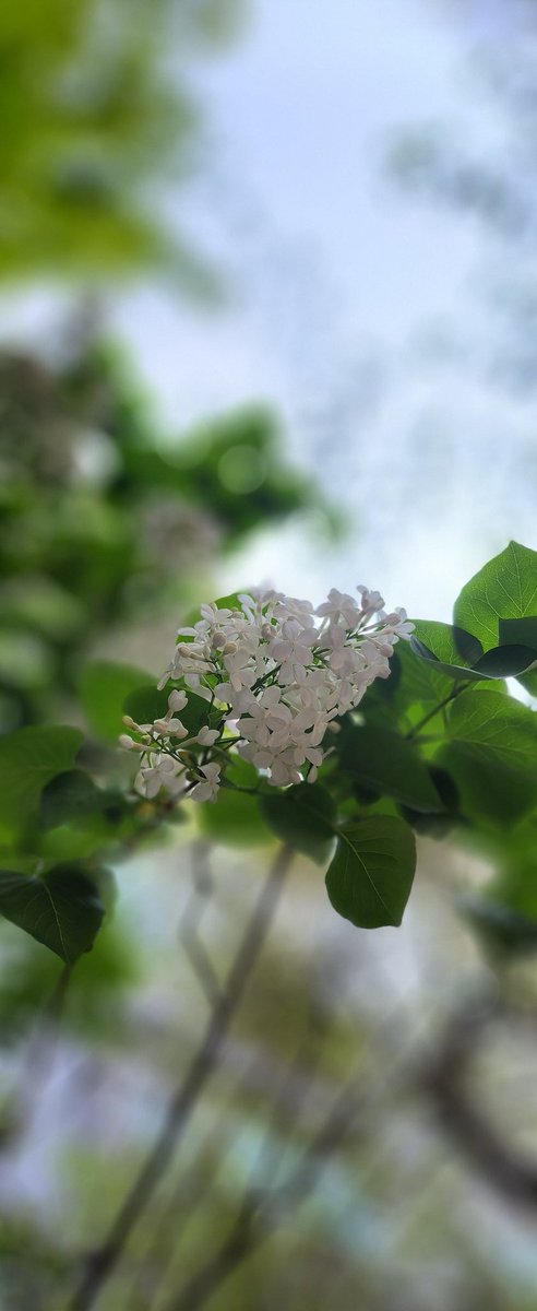 sunny🐶☕️⚘️ tweet media