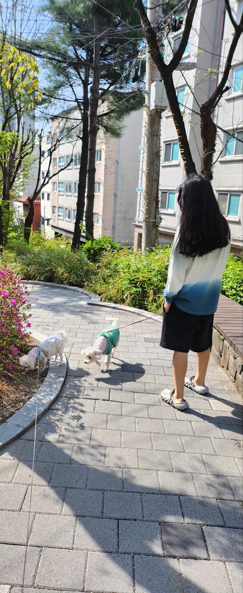 sunny🐶☕️⚘️ tweet media