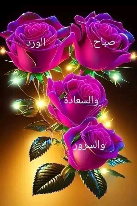 khalilyounes tweet media