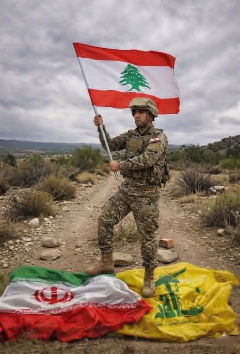 DANA 🇱🇧🇺🇸 tweet media