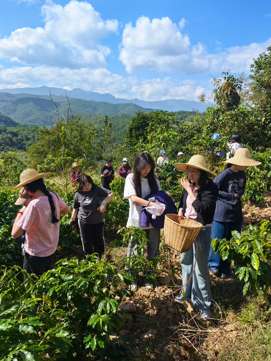 ChinaDaily's tweet image. ☕️ Learn to enjoy the daily grind more by crafting your own cup o'Joe — from picking the beans to pouring the cup. Watch as we spill the tea on China's #coffee capital and the amazing experiences awaiting the world's caffeine connoisseurs. #DailyGrind #Yunan #ChinaTravel