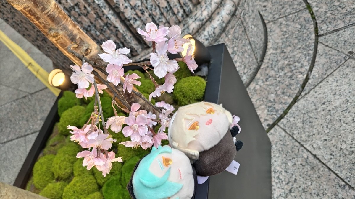 jony🍮 tweet media