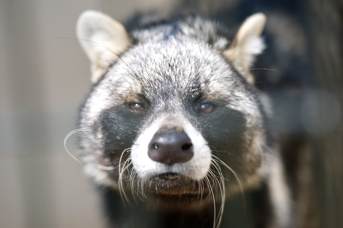 空白寺 tweet media